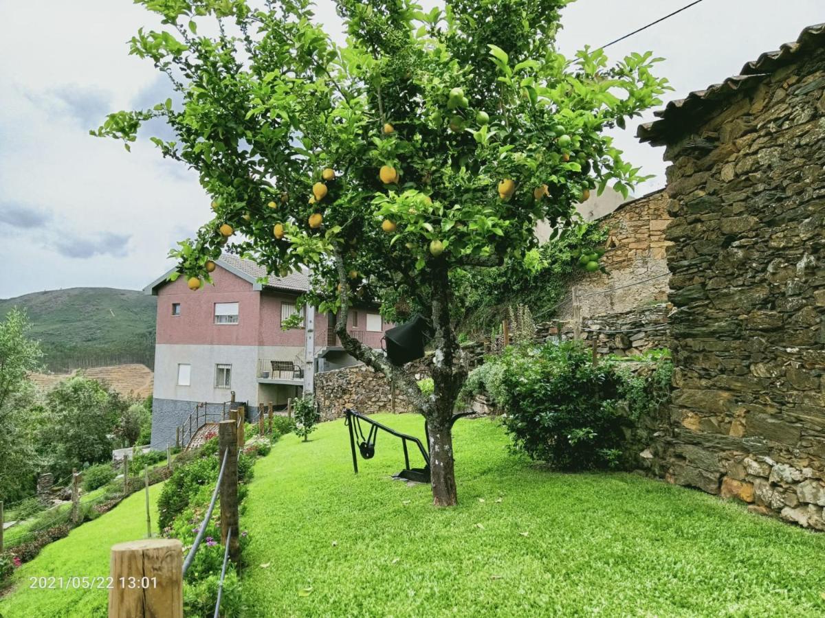 Cantinho Do Prestimo Águeda المظهر الخارجي الصورة